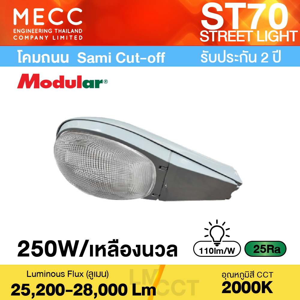 โคมถนนหลังเต่า HPS250W Semi Cut-Off 2026 โคมถนนหลังเต่า HPS250W Semi Cut-Off 2026