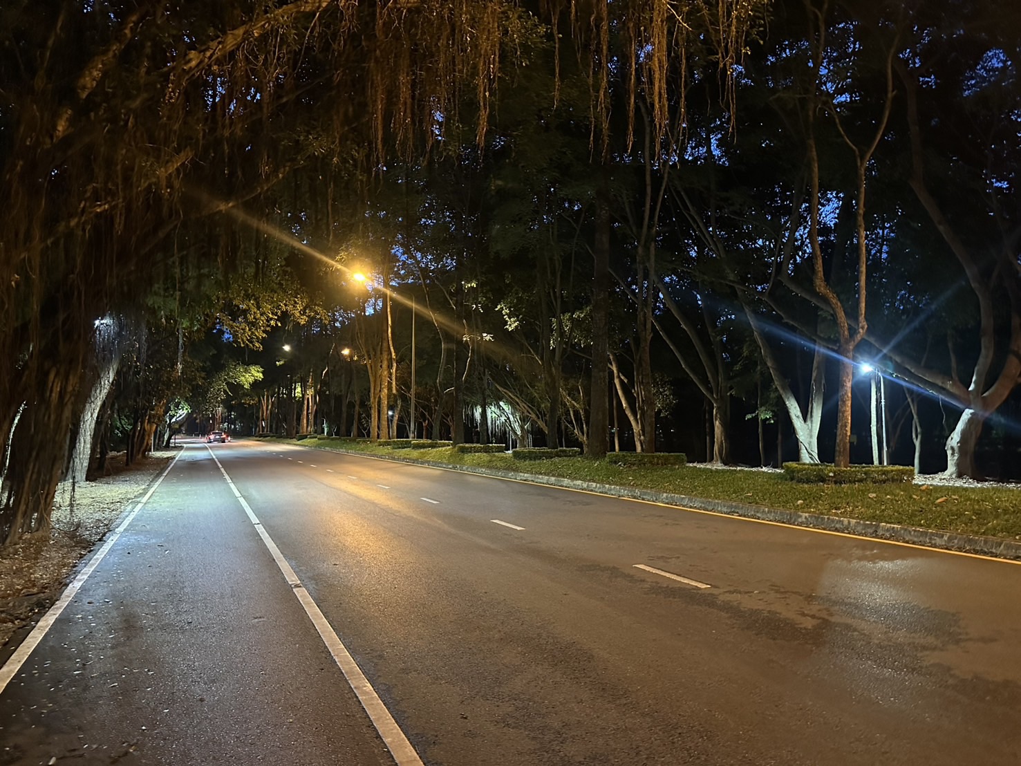 โคมไฟถนน LED Mira Eco Series ม.แม่ฟ้าหลวง จ.เชียงราย