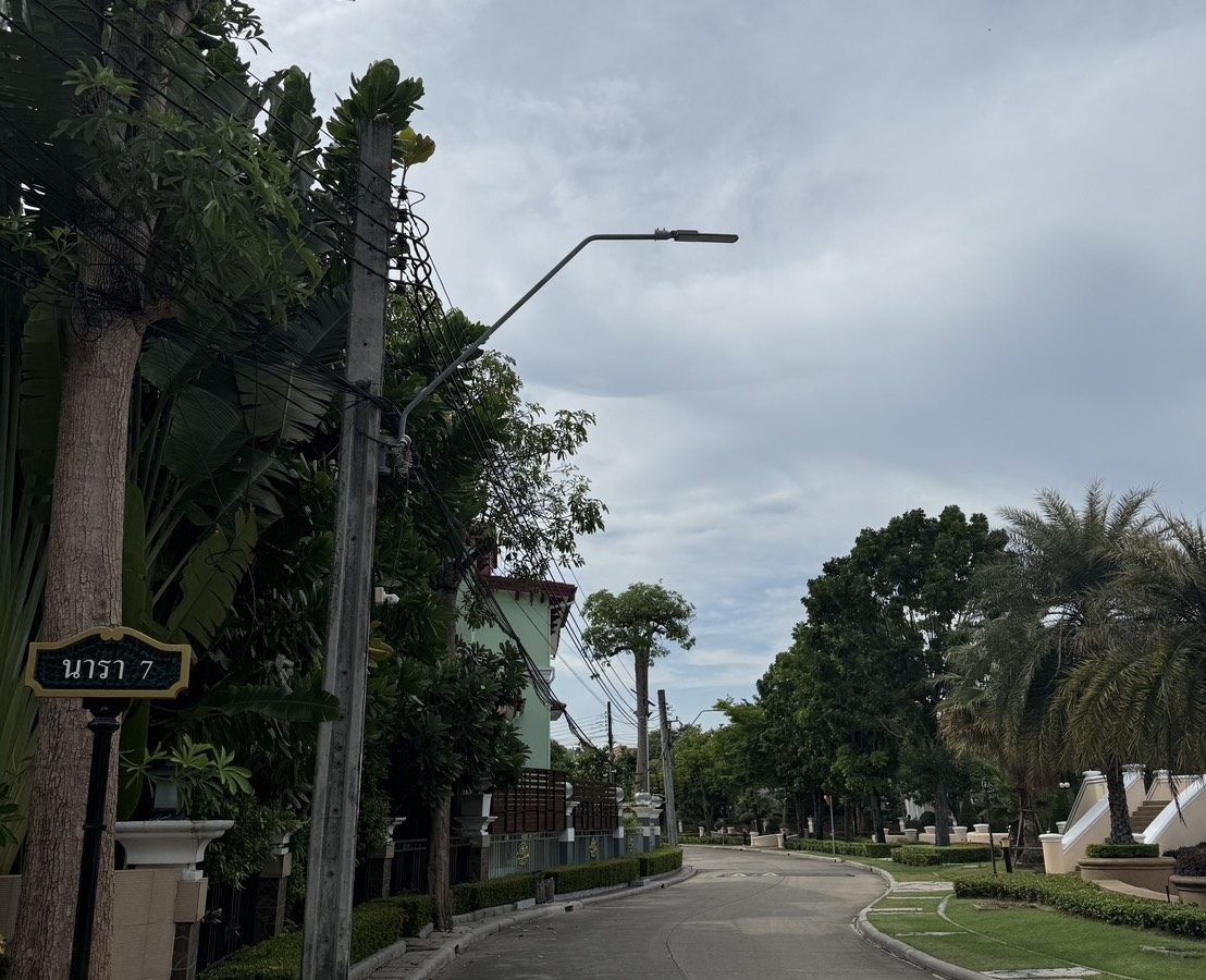 S__9453571_0